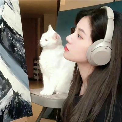 四片羽毛